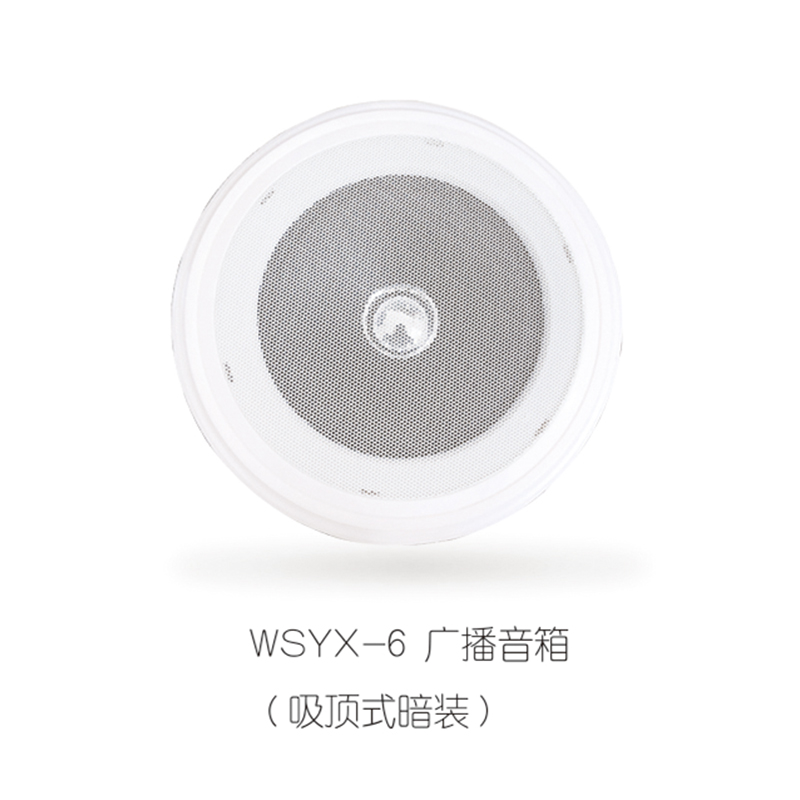 WSYX-6/WSYX-5/WSYX-2A 广播音箱